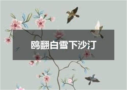 鸥翻白雪下沙汀