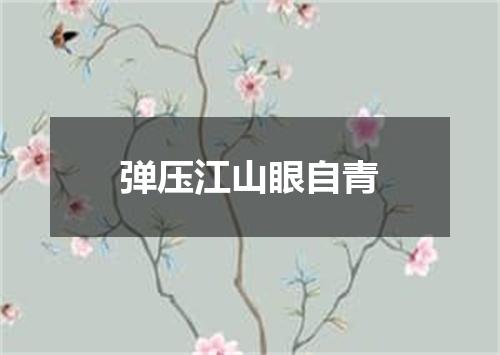 弹压江山眼自青