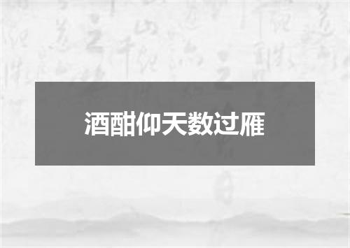 酒酣仰天数过雁