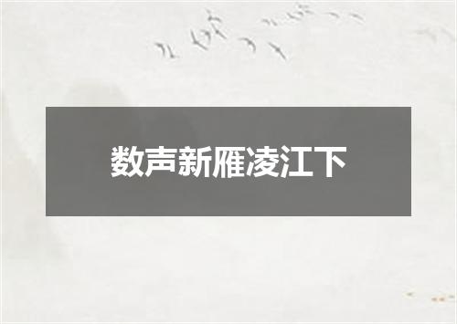 数声新雁凌江下