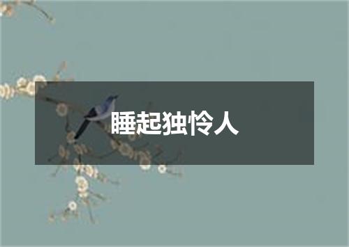 睡起独怜人