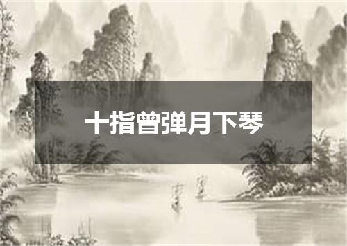 十指曾弹月下琴