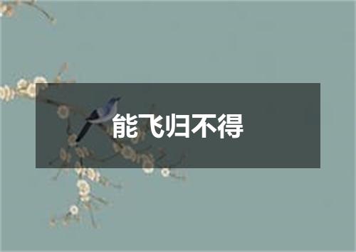 能飞归不得