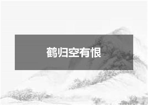 鹤归空有恨