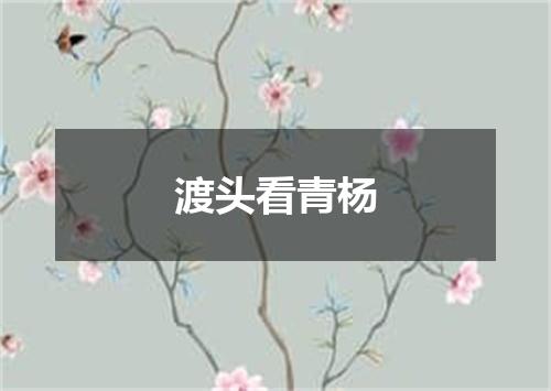 渡头看青杨