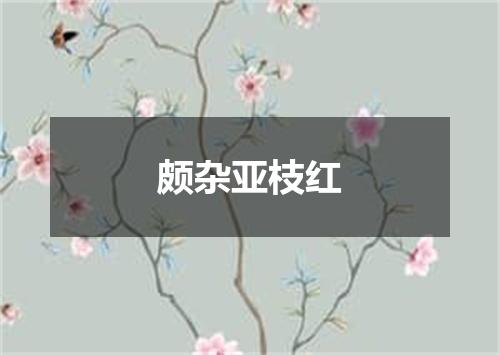 颇杂亚枝红