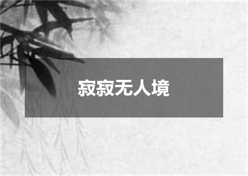 寂寂无人境