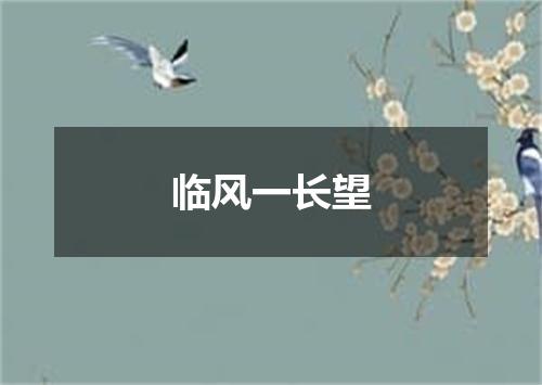 临风一长望