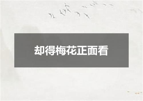 却得梅花正面看