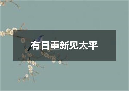 有日重新见太平