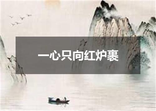 一心只向红炉裹