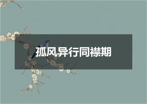 孤风异行同襟期