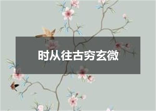 时从往古穷玄微