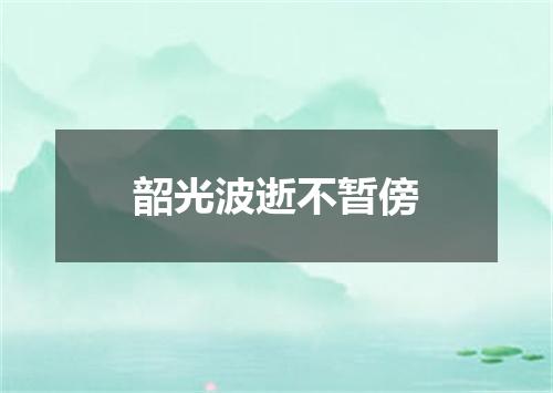 韶光波逝不暂傍