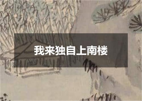 我来独自上南楼
