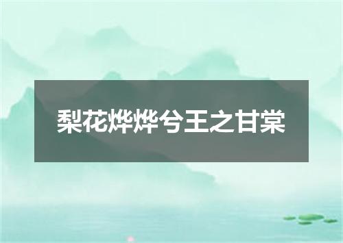 梨花烨烨兮王之甘棠