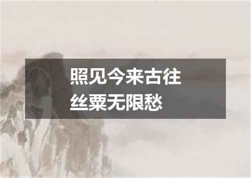 照见今来古往丝粟无限愁