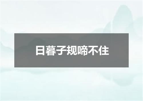 日暮子规啼不住