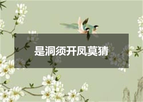是洞须开凤莫猜
