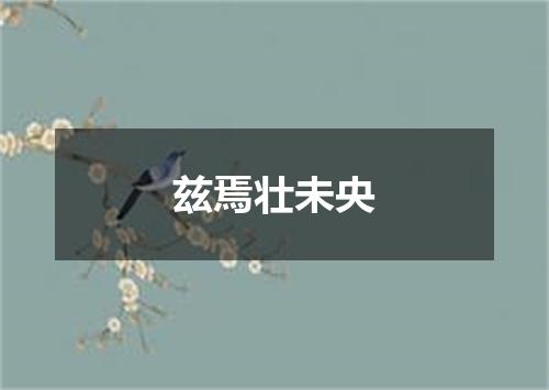 兹焉壮未央