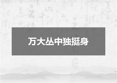 万大丛中独挺身
