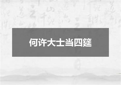 何许大士当四筵