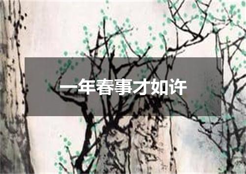 一年春事才如许