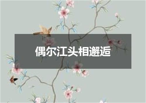 偶尔江头相邂逅