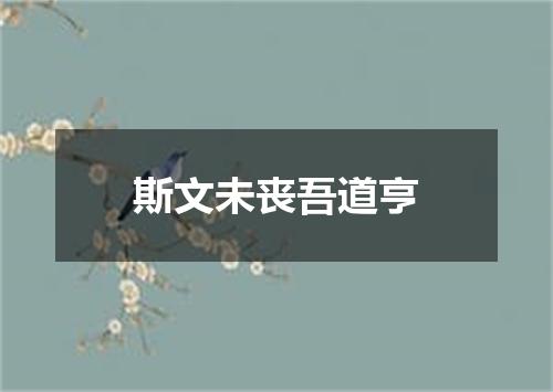 斯文未丧吾道亨