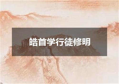 皓首学行徒修明