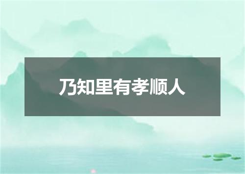 乃知里有孝顺人