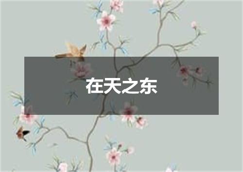 在天之东