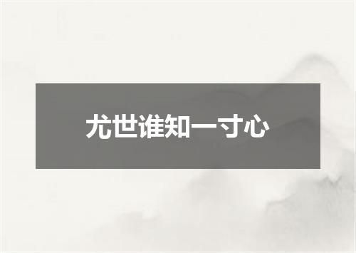 尤世谁知一寸心