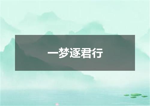 一梦逐君行
