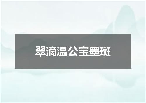 翠滴温公宝墨斑