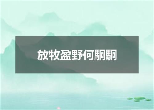 放牧盈野何駉駉