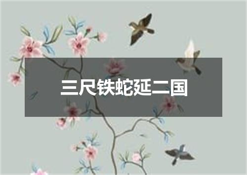 三尺铁蛇延二国