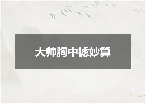 大帅胸中摅妙算