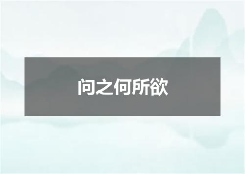 问之何所欲