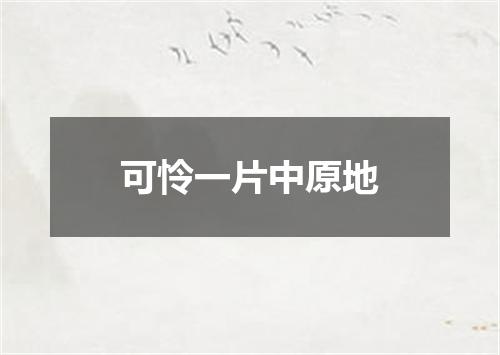 可怜一片中原地