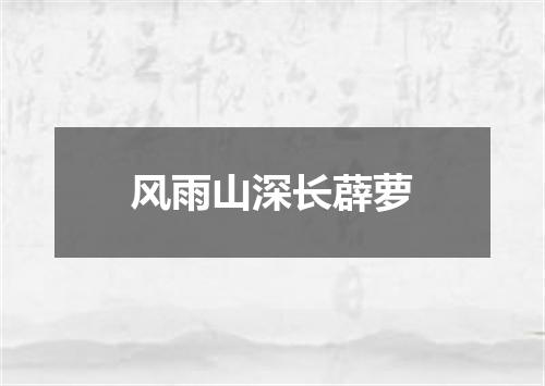风雨山深长薜萝