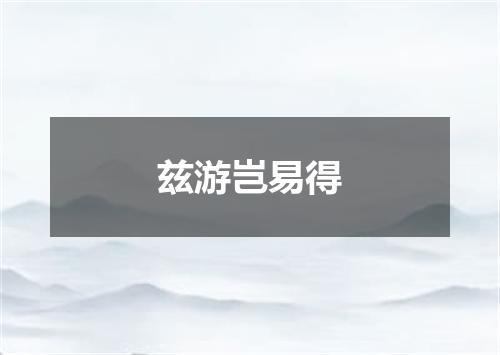 兹游岂易得