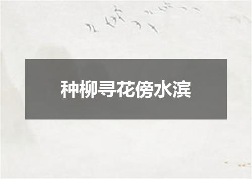 种柳寻花傍水滨