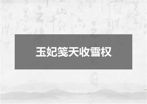 玉妃笺天收雪权