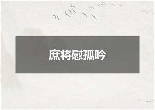 庶将慰孤吟