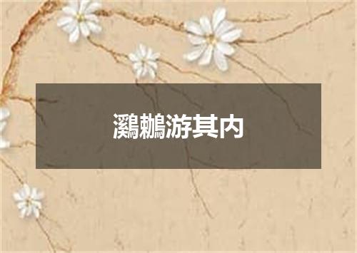 鸂鶒游其内