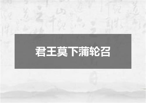 君王莫下蒲轮召
