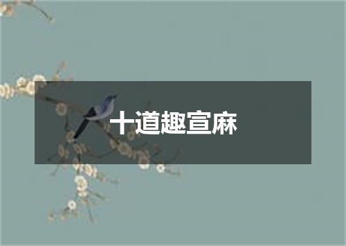 十道趣宣麻