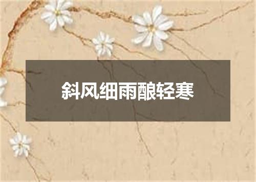斜风细雨酿轻寒