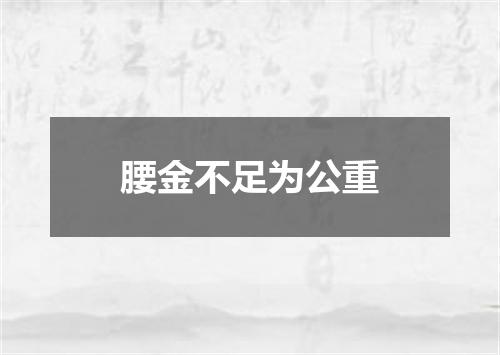 腰金不足为公重